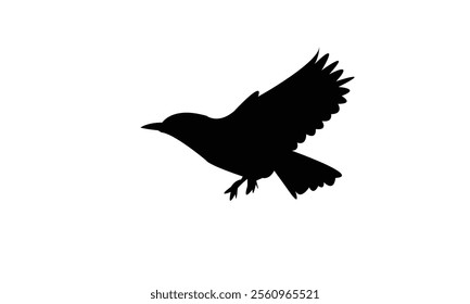 Flying Longclaw Bird Silhouette Design  And Vector Illustration. 