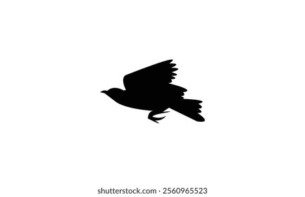 Flying Longclaw Bird Silhouette Design  And Vector Illustration. 