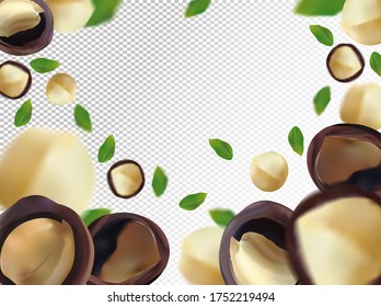 Flying macadamia with green leaf on transparent background. 3D realistic nuts. Macadamia falling from different angles. Vector illustration.