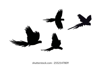 Flying Macaw Bird Silhouette Design  And Vector Illustration. 