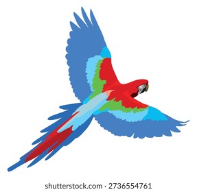 Flying macaw. Colorful blue wings wild  parrot