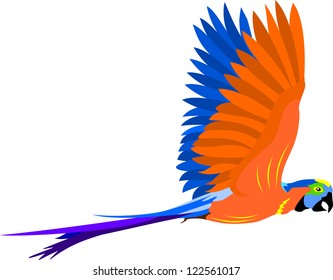 Flying macaw parrot with opened wings