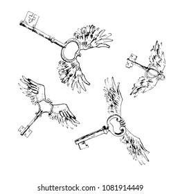 Flying magic keys, vector illustration. Bird's beautiful wings. Sketchy style. 