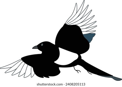 flying magpie with black wing