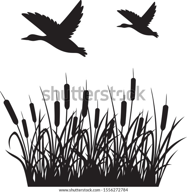 Flying Mallard Duck Reeds Vector Illustration Stock Vector (Royalty ...