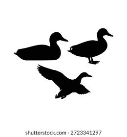 Diseño de ilustración plana de Vector de silueta de pato mallard volador.