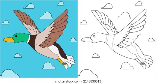 Flying mallard duck suitable for children's coloring page vector illustration