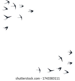 Flying martlet birds silhouettes vector illustration. Migratory martlets swarm isolated on white. Alar flying swallows line art. Realistic birds in sky graphic design. Wildlife concept.