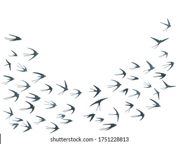 Flying martlet birds silhouettes vector illustration. Migratory martlets swarm isolated on white. Wingy flying swallows line art. Cute birds in sky graphic design. Fauna background.