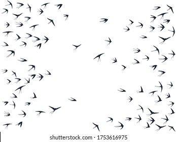 Flying martlet birds silhouettes vector illustration. Nomadic martlets flock isolated on white. Swift flying swallows line art. Rain birds in sky graphic design. Fauna background.