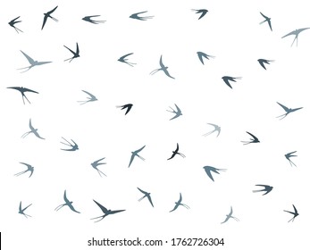 Flying martlet birds silhouettes vector illustration. Migratory martlets bevy isolated on white. Swift flying swallows line art. Small birds in sky graphic design. Wildlife concept.
