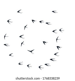 Flying martlet birds silhouettes vector illustration. Nomadic martlets school isolated on white. Soaring flying swallows line art. Rain birds in sky graphic design. Fauna background.