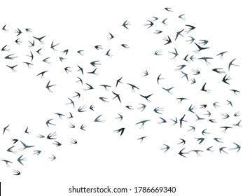 Flying martlet birds silhouettes vector illustration. Nomadic martlets bevy isolated on white. Wingy flying swallows line art. Cute birds in sky graphic design. Fauna background.