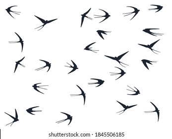 Flying martlet birds silhouettes vector illustration. Migratory martlets school isolated on white. Free flying swallows line art. Abstract birds in sky graphic design. Wildlife concept.