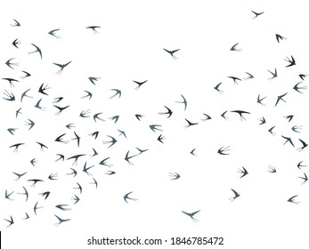 Flying martlet birds silhouettes vector illustration. Nomadic martlets flock isolated on white. Pinioned flying swallows line art. Simple birds in sky graphic design. Fauna background.