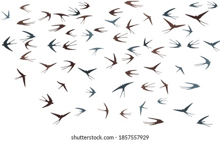 Flying martlet birds silhouettes vector illustration. Migratory martlets swarm isolated on white. Wingy flying swallows line art. Many birds in sky graphic design. Wildlife concept.
