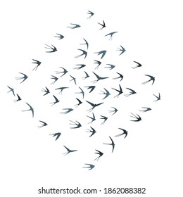 Flying martlet birds silhouettes vector illustration. Migratory martlets swarm isolated on white. Wingy flying swallows line art. Abstract birds in sky graphic design. Wildlife concept.