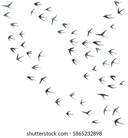 Flying martlet birds silhouettes vector illustration. Nomadic martlets swarm isolated on white. Rapid flying swallows line art. Small birds in sky graphic design. Fauna background.
