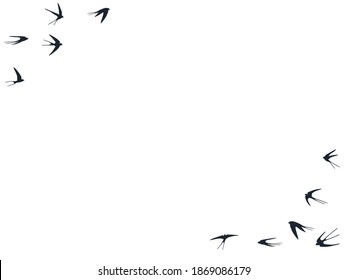 Flying martlet birds silhouettes vector illustration. Nomadic martlets swarm isolated on white. Gliding flying swallows line art. Realistic birds in sky graphic design. Fauna background.