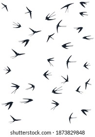 Flying martlet birds silhouettes vector illustration. Migratory martlets group isolated on white. Rapid flying swallows line art. Abstract birds in sky graphic design. Fauna background.