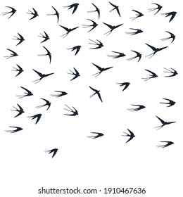 Flying martlet birds silhouettes vector illustration. Nomadic martlets flock isolated on white. Rapid flying swallows line art. Little birds in sky graphic design. Fauna background.