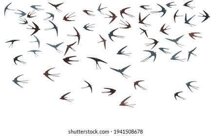 Flying martlet birds silhouettes vector illustration. Nomadic martlets flock isolated on white. Soaring flying swallows line art. Many birds in sky graphic design. Fauna background.