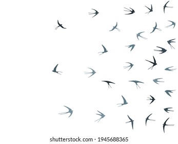 Flying martlet birds silhouettes vector illustration. Migratory martlets swarm isolated on white. Gliding flying swallows line art. Rain birds in sky graphic design. Fauna background.