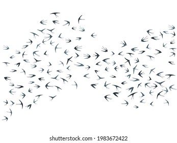 Martlet の画像 写真素材 ベクター画像 Shutterstock