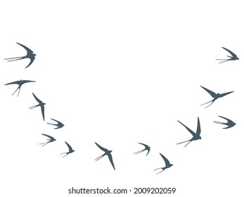 Flying martlet birds silhouettes vector illustration. Migratory martlets swarm isolated on white. Feathred flying swallows line art. Small birds in sky graphic design. Wildlife concept.