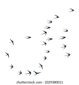 Flying martlet birds silhouettes vector illustration. Nomadic martlets school isolated on white. Winged flying swallows line art. Simple birds in sky graphic design. Wildlife concept.
