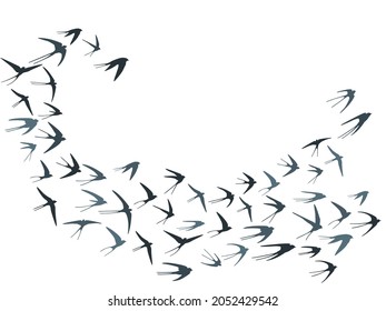 Flying martlet birds silhouettes vector illustration. Migratory martlets group isolated on white. Feathred flying swallows line art. Little birds in sky graphic design. Wildlife concept.