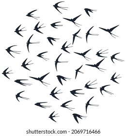 Flying martlet birds silhouettes vector illustration. Migratory martlets flock isolated on white. Alar flying swallows line art. Realistic birds in sky graphic design. Fauna background.