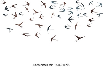 Flying martlet birds silhouettes vector illustration. Nomadic martlets flock isolated on white. Feathred flying swallows line art. Little birds in sky graphic design. Wildlife concept.