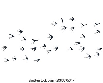 Flying martlet birds silhouettes vector illustration. Migratory martlets bevy isolated on white. Alar flying swallows line art. Rain birds in sky graphic design. Fauna background.