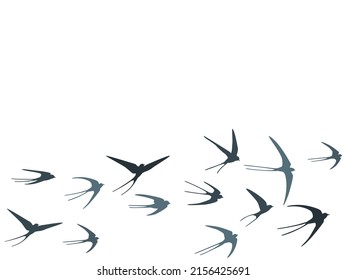 Flying Martlet Birds Silhouettes Vector Illustration. Nomadic Martlets Swarm Isolated On White. Gliding Flying Swallows Line Art. Realistic Birds In Sky Graphic Design. Fauna Background.