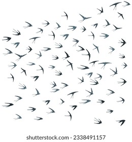 Flying martlet birds silhouettes vector illustration. Nomadic martlets bevy isolated on white. Sailing flying swallows line art. Realistic birds in sky graphic design. Fauna background.