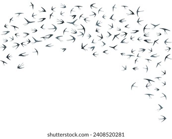 Flying martlet birds silhouettes vector illustration. Migratory martlets swarm isolated on white. Free flying swallows line art. Small birds in sky graphic design. Wildlife concept.