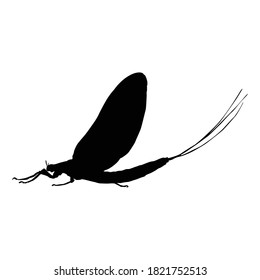 Flying Mayfly (Ephemeroptera) On a Side View Silhouette Found In Map Of All Around The World. Good To Use For Element Print Book, Animal Book 