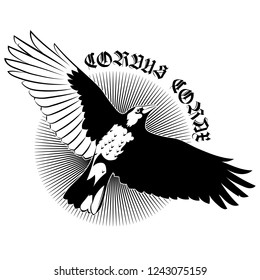 Flying Mighty Black Raven, crow, raven in flight, isolated on white, vector illustration