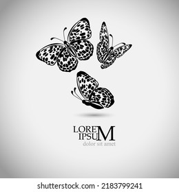 Flying monochrome butterflies logo. Vector illustration