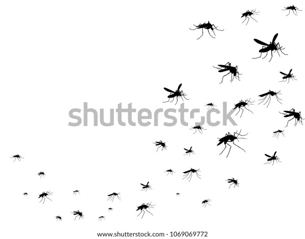 飛蚊の黒いシルエット 虫が空に群がる ウイルスや病気が医療のベクター画像のコンセプトを広めている 虫の蚊の黒いシルエット 蚊と害虫のイラスト のベクター画像素材 ロイヤリティフリー