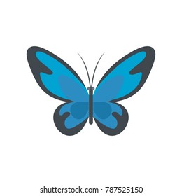 Flying moth icon. Flat illustration of flying moth vector icon isolated on white background