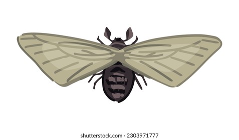 Flying moth, insect animal doodle. Vector illustration in cartoon style. Modern clipart isolated on white..