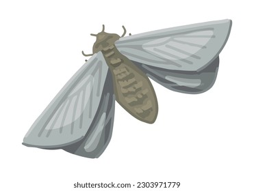 Flying moth, insect animal doodle. Vector illustration in cartoon style. Modern clipart isolated on white..