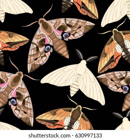 Flying moths seamless