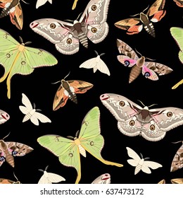 Flying moths seamless