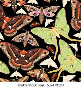 Flying moths seamless