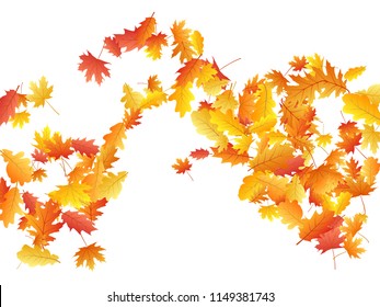 Flying oak and maple leaf simple background seasonal vector illustration. Autumn leaves falling graphic design. Fall season specific vector background. Oak and maple tree autumn foliage elements.