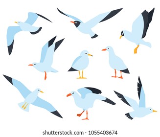 Flying, on the water and standing seagulls cartoon set. Sea Gull, a beautiful bird. Cute bird in cartoon style.