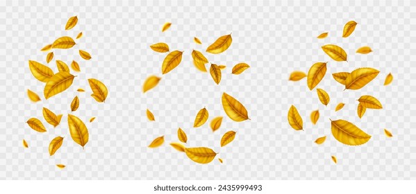 Flying on wind yellow realistic autumn leaf isolated on background. Orange fall dry leaves in school season. Decorative botanical clipart png set. Abstract bright thanksgiving overlay design